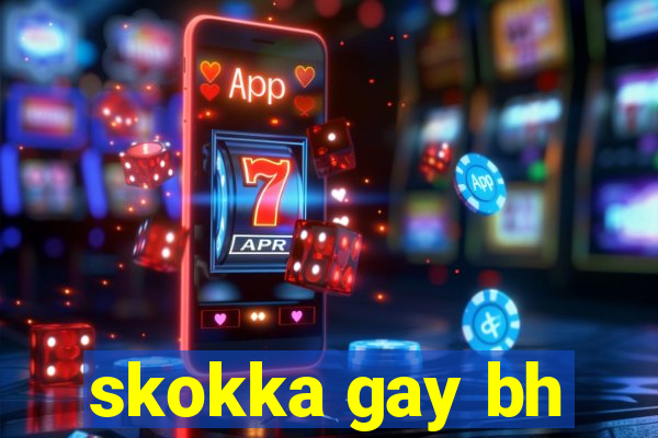 skokka gay bh